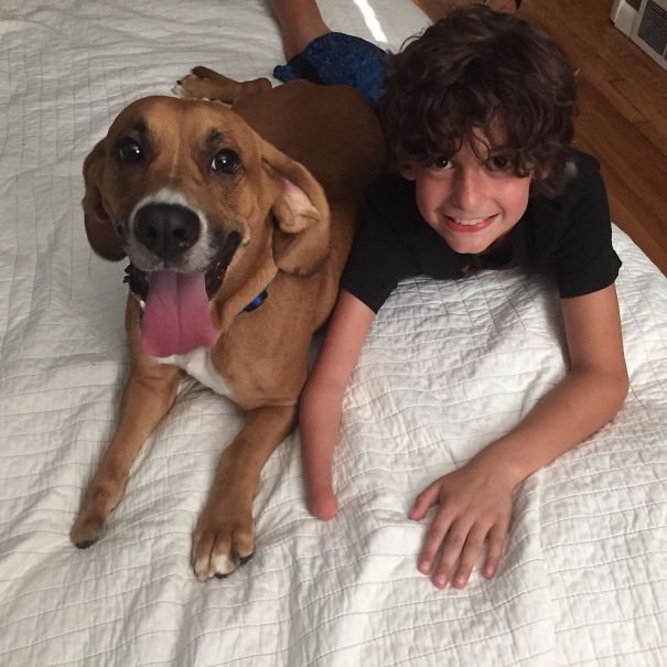 Funny Photos Showing That The Dog Is Another Child In The Family