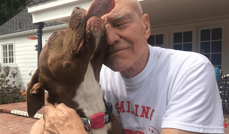 +12 Celebrities Who Have Openly Displayed Their Immense Love For Dogs
