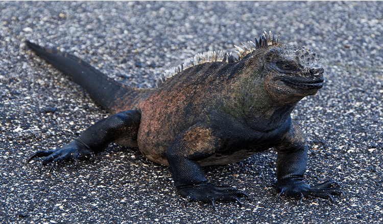 16 Amazing Photos That Show How Fascinating Nature Is